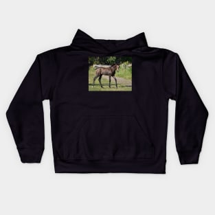 TB COLT Kids Hoodie